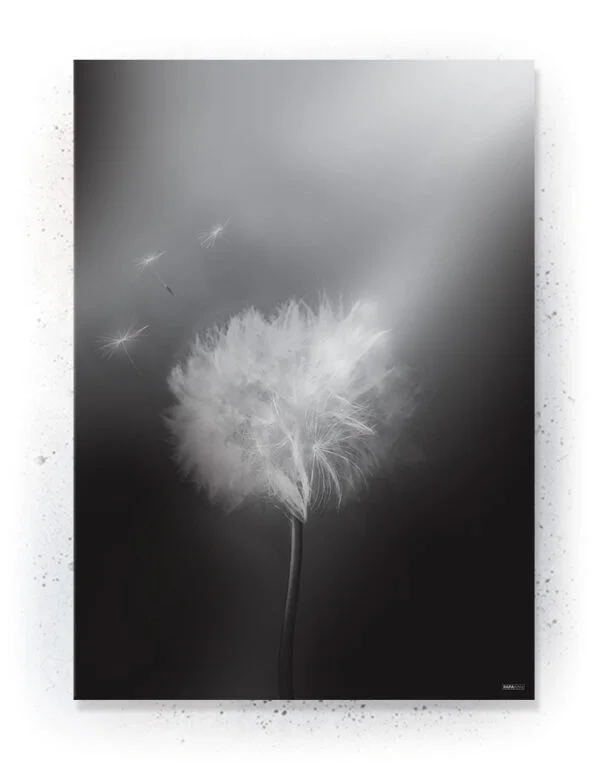 Plakat / lærredsprint - Flotte artworks i sort/hvid