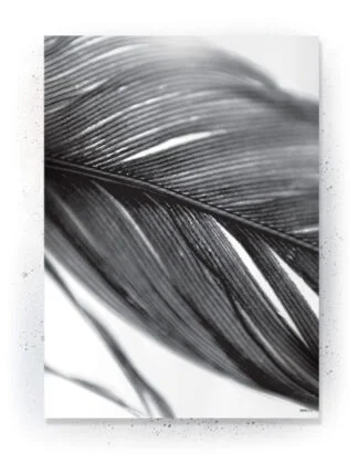 Plakat / lærredsprint - Flotte artworks i sort/hvid