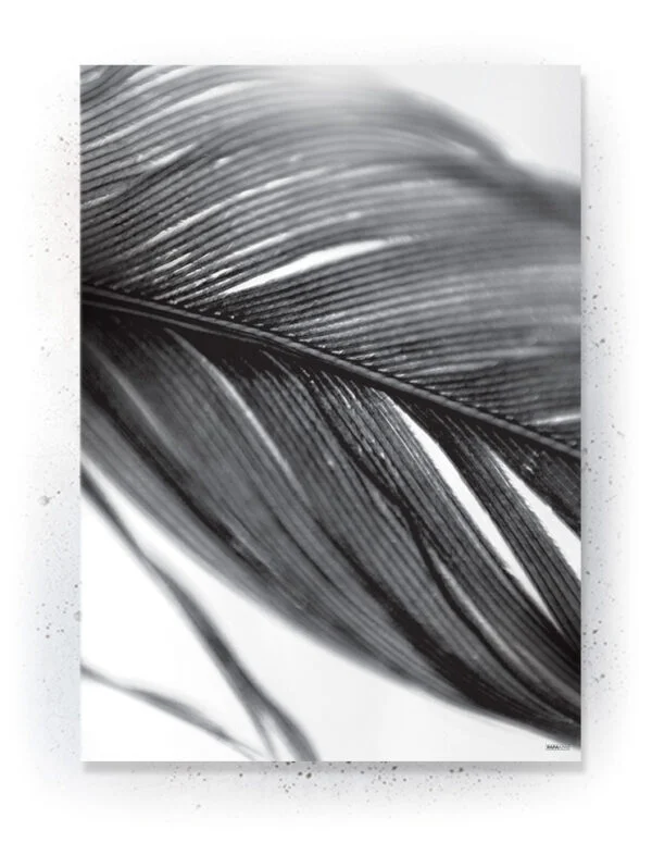 Plakat / lærredsprint - Flotte artworks i sort/hvid