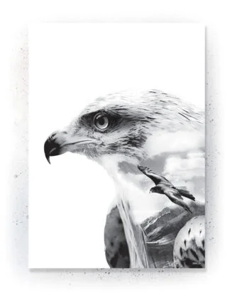 Animals - Plakat / lærredsprint - Flotte artworks i sort/hvid