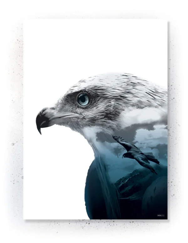 Plakat / Lærredsprint med Ørne