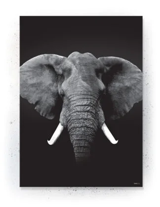 Animals - Plakat / lærredsprint - Flotte artworks i sort/hvid