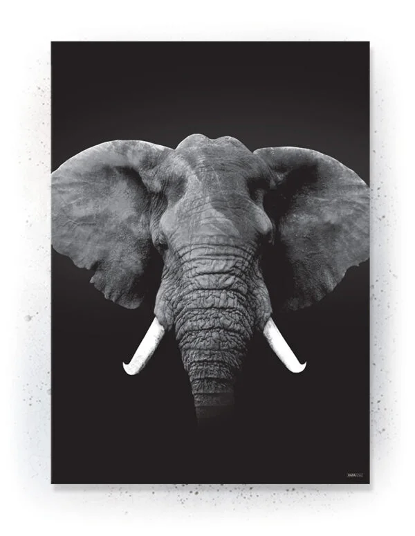 Animals - Plakat / lærredsprint - Flotte artworks i sort/hvid