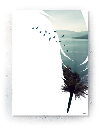 Plakat med fjer, fugle og natur