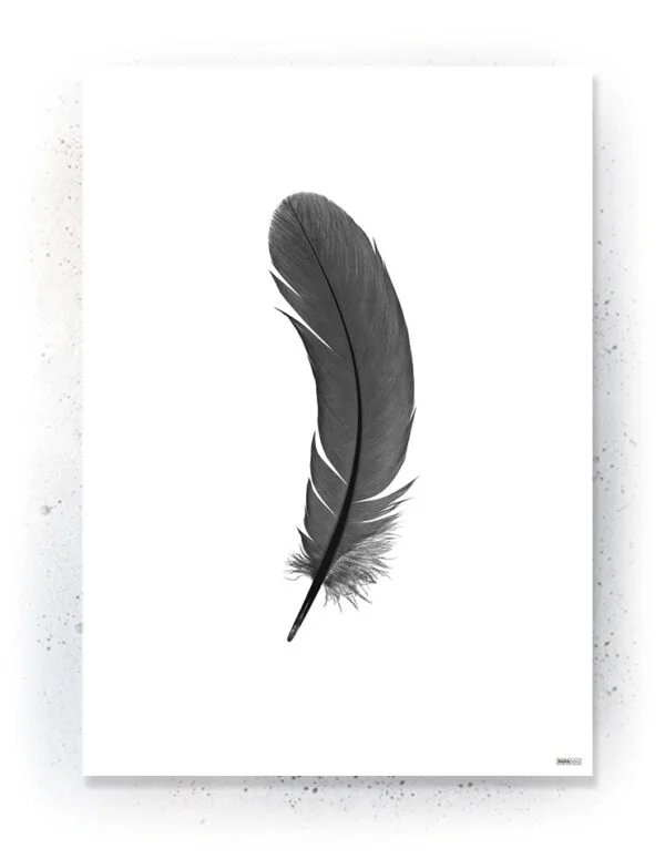 Plakat / lærredsprint - Flotte artworks i sort/hvid