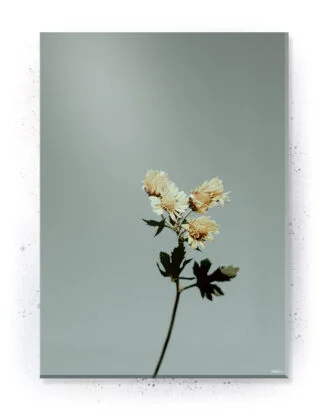 Plakat / lærredsprint - Nedtonede naturlige farver