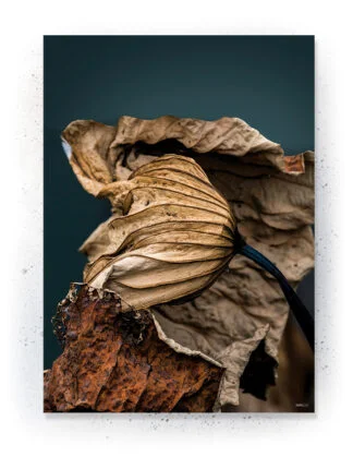 Plakat / lærredsprint - Farverige natur billeder