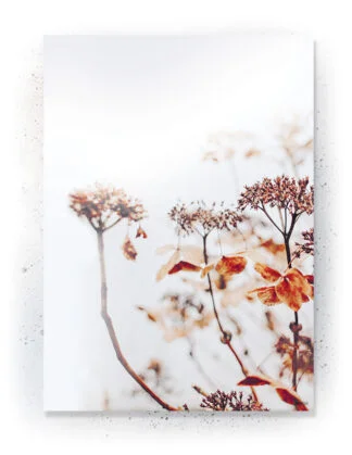 Plakat / lærredsprint - Nedtonede naturlige farver