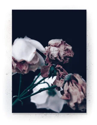 Plakat / lærredsprint - Nedtonede naturlige farver