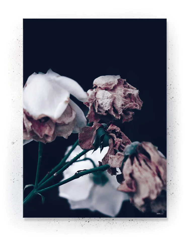 Plakat / lærredsprint - Nedtonede naturlige farver