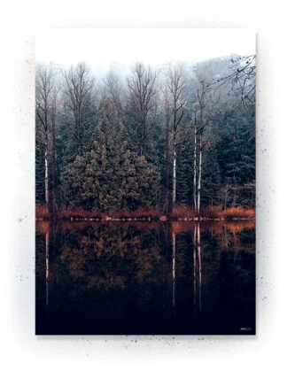 Plakat / lærredsprint - Nedtonede naturlige farver