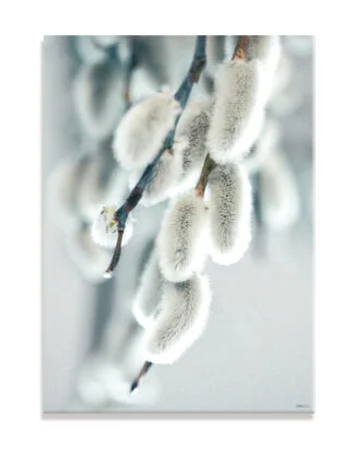 Plakat / lærredsprint - Nedtonede naturlige farver