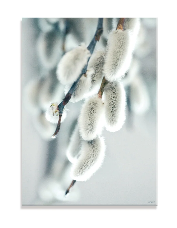 Plakat / lærredsprint - Nedtonede naturlige farver