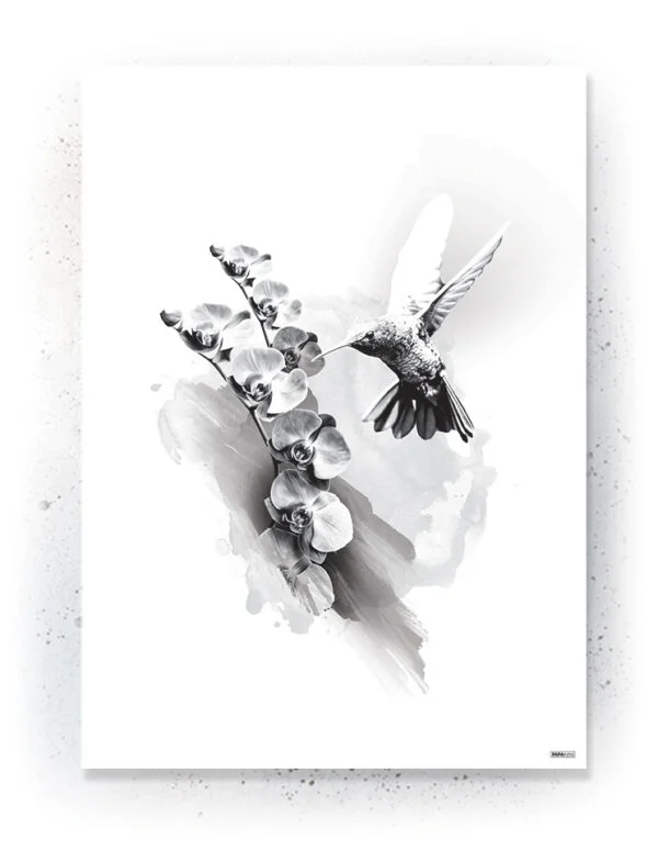 Animals - Plakat / lærredsprint - Flotte artworks i sort/hvid