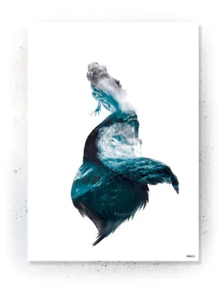 Plakat / Lærredsprint med koi karpe