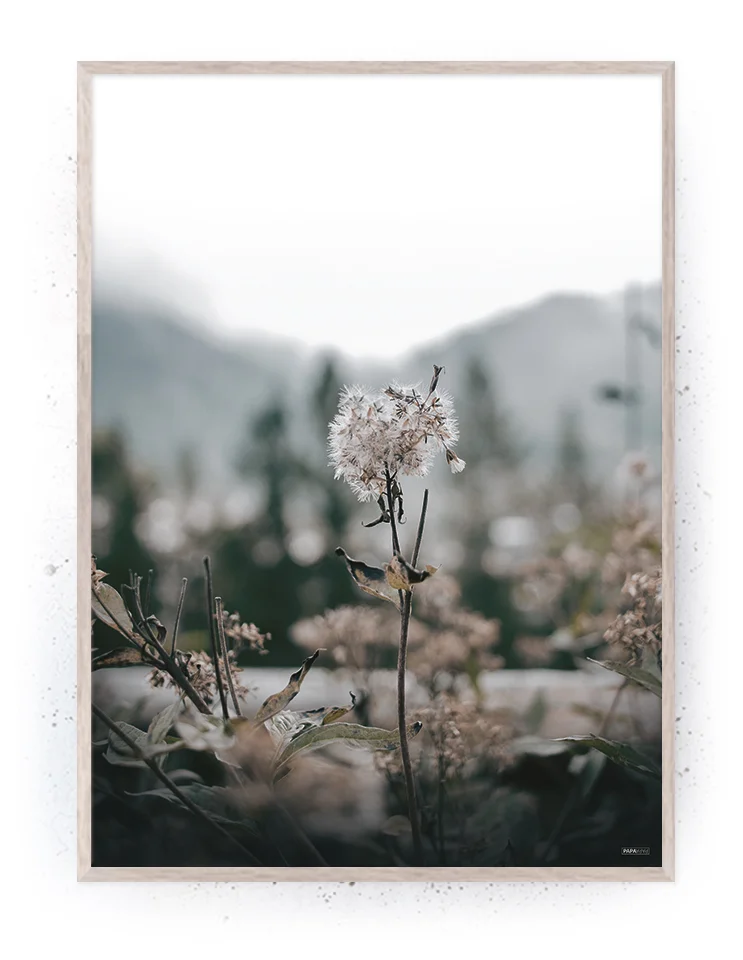 Plakat / lærredsprint - Nedtonede naturlige farver