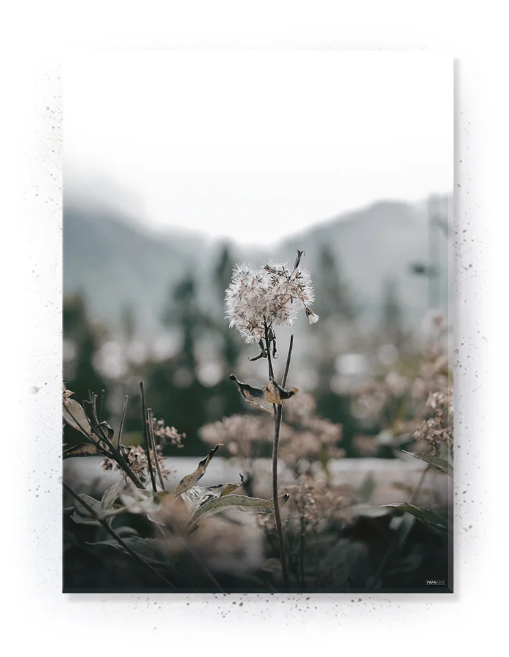 Plakat / lærredsprint - Nedtonede naturlige farver