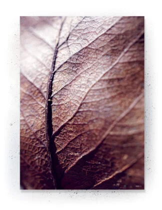 Plakat / lærredsprint - Nedtonede naturlige farver