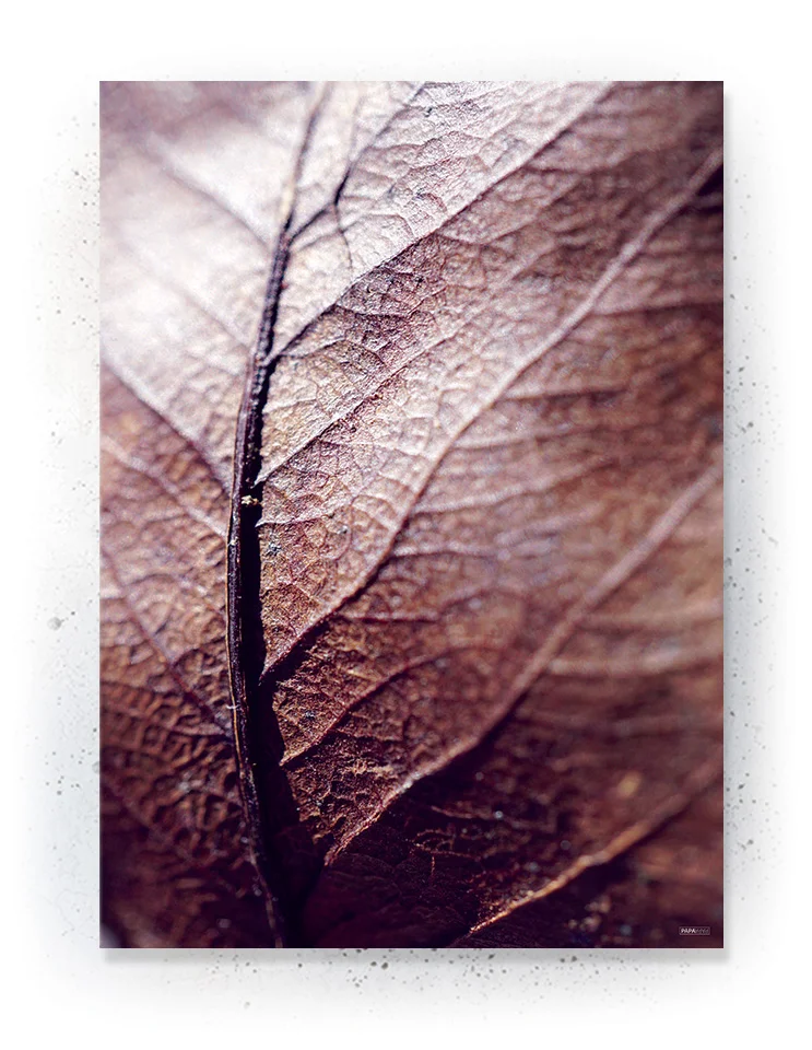 Plakat / lærredsprint - Nedtonede naturlige farver