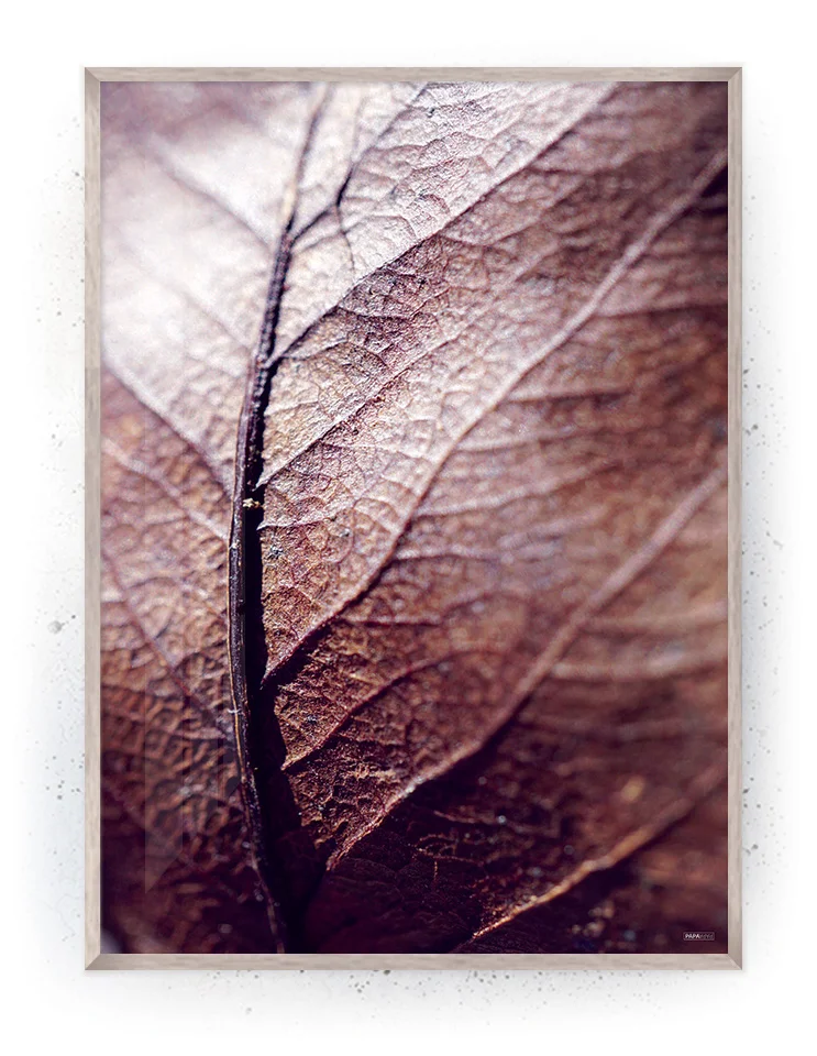 Plakat / lærredsprint - Nedtonede naturlige farver