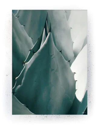 Plakat / lærredsprint - Nedtonede naturlige farver