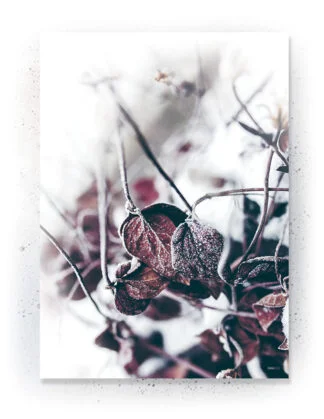 Plakat / lærredsprint - Nedtonede naturlige farver