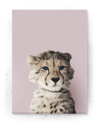 Plakat / Lærredsprint med søde dyremotiver