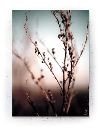 Plakat / lærredsprint - Nedtonede naturlige farver