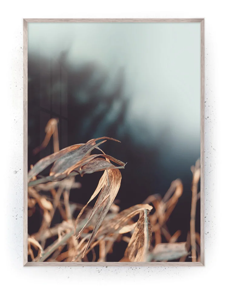 Plakat / lærredsprint - Nedtonede naturlige farver