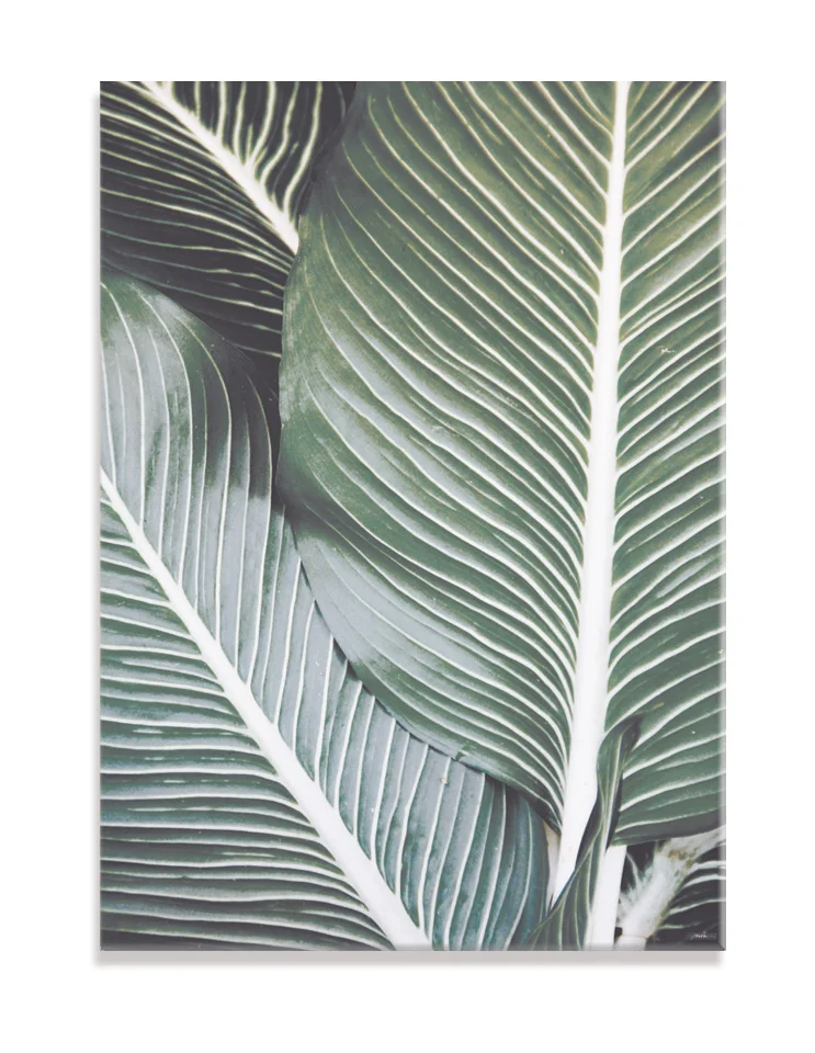 Plakat / lærredsprint - Smukke pasteller og naturlige farver