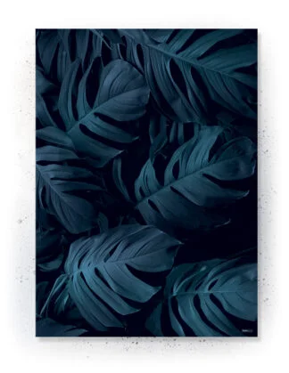 Plakat / lærredsprint - Flotte naturlige farver og motiver fra naturen