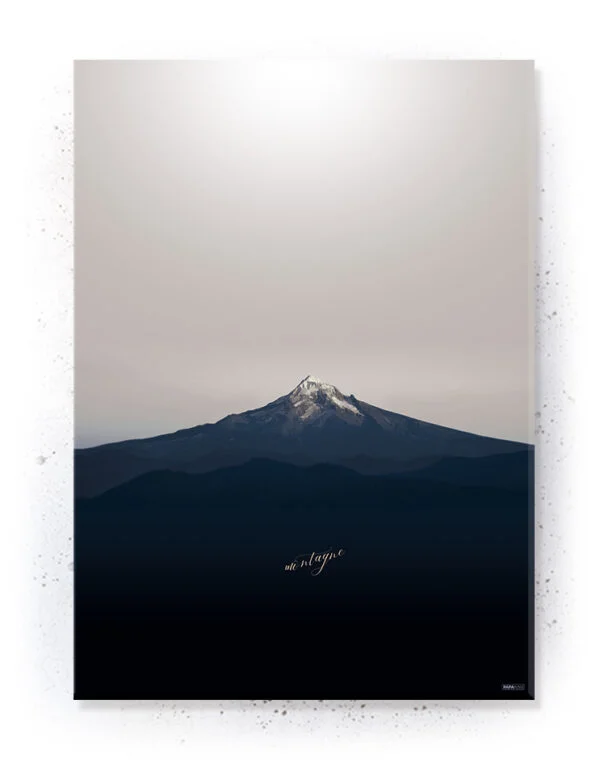 Plakat / Lærredsprint nordisk design Indretning