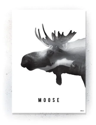 Animals - Plakat / lærredsprint - Flotte artworks i sort/hvid