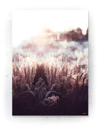 Plakat / lærredsprint - Nedtonede naturlige farver