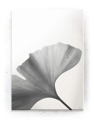 Plakat / lærredsprint - Nedtonede naturlige farver