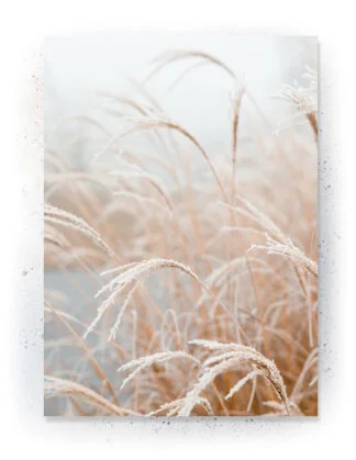 Plakat / lærredsprint - Flotte artworks i nedtonede naturlige farver