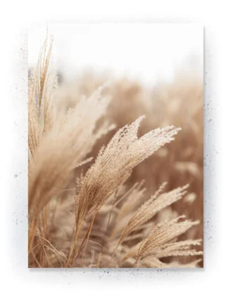 Plakat / lærredsprint - Flotte artworks i nedtonede naturlige farver