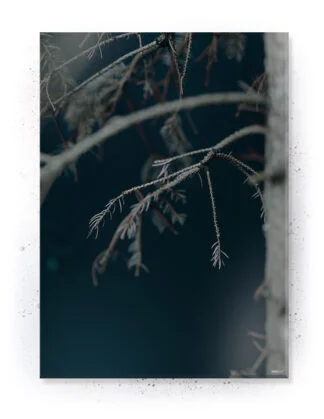 Plakat / lærredsprint - Nedtonede naturlige farver