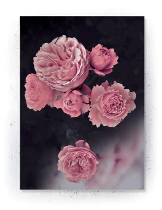 Plakat / lærredsprint i rosa og mørkeblå farver