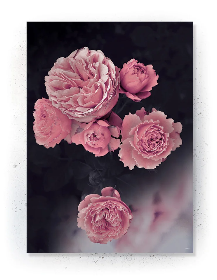 Plakat / lærredsprint i rosa og mørkeblå farver