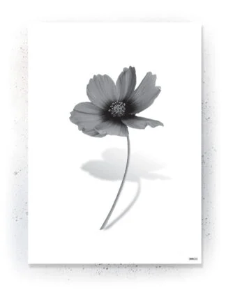 Plakat / lærredsprint - Flotte artworks i sort/hvid