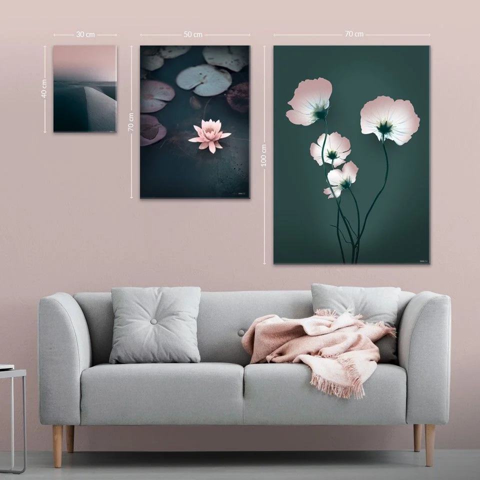 Plakat og lærredsbilleder størrelser