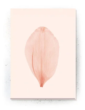 Plakat / lærredsprint - Flotte naturlige farver og motiver fra naturen