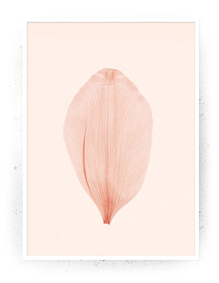 Plakat / lærredsprint - Flotte naturlige farver og motiver fra naturen