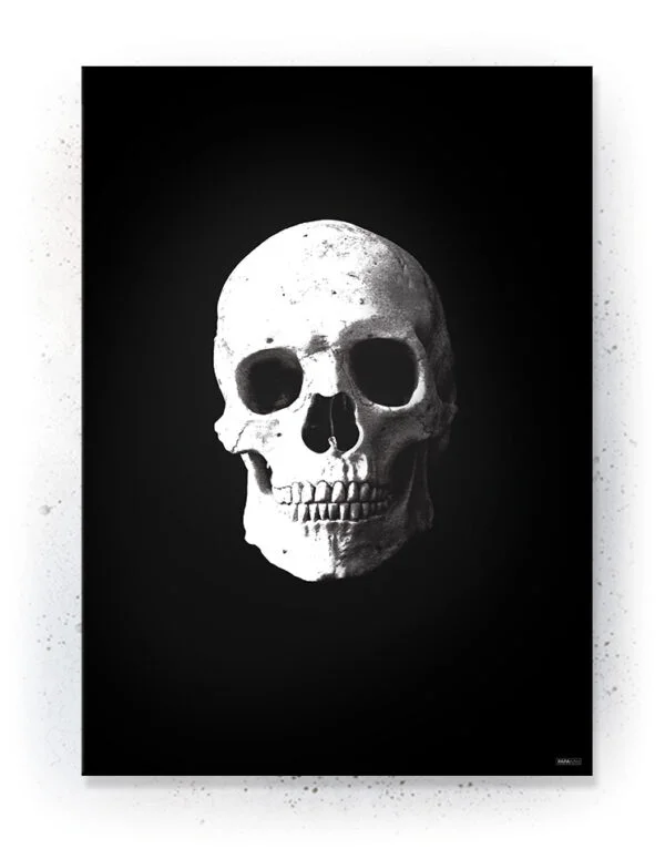 Plakat / lærredsprint - Flotte artworks i sort/hvid