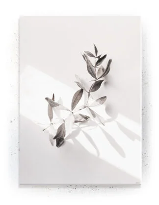 Plakat / lærredsprint - Flotte artworks i mørke og lyse nuancer