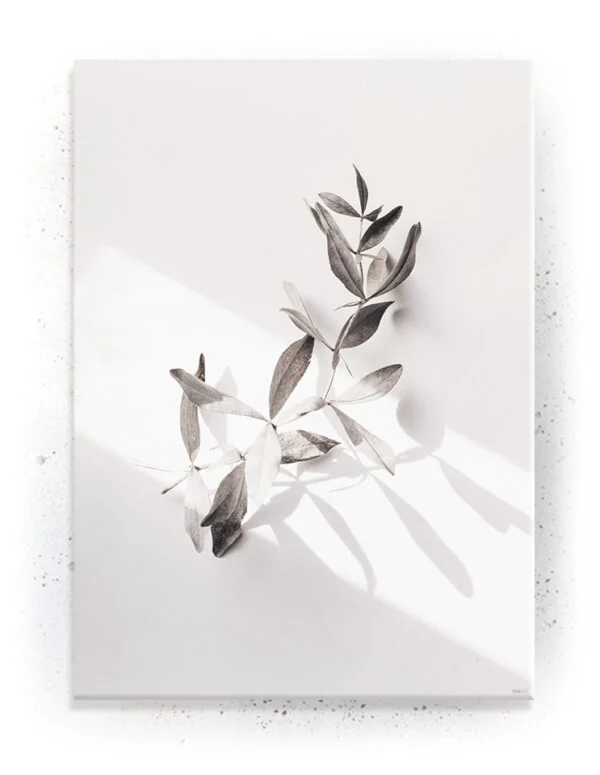 Plakat / lærredsprint - Flotte artworks i mørke og lyse nuancer