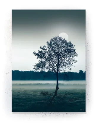 Plakat / lærredsprint - Flotte naturlige farver og motiver fra naturen