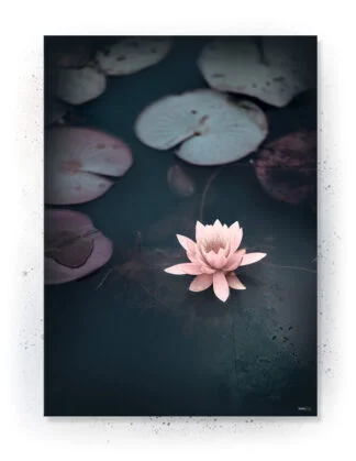 Plakat / lærredsprint - Smukke pasteller og naturlige farver