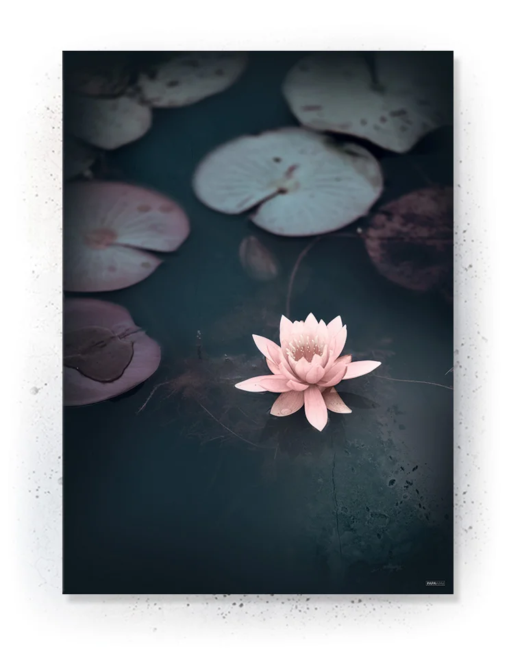 Plakat / lærredsprint - Smukke pasteller og naturlige farver